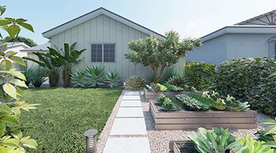 Front and Back yard beds